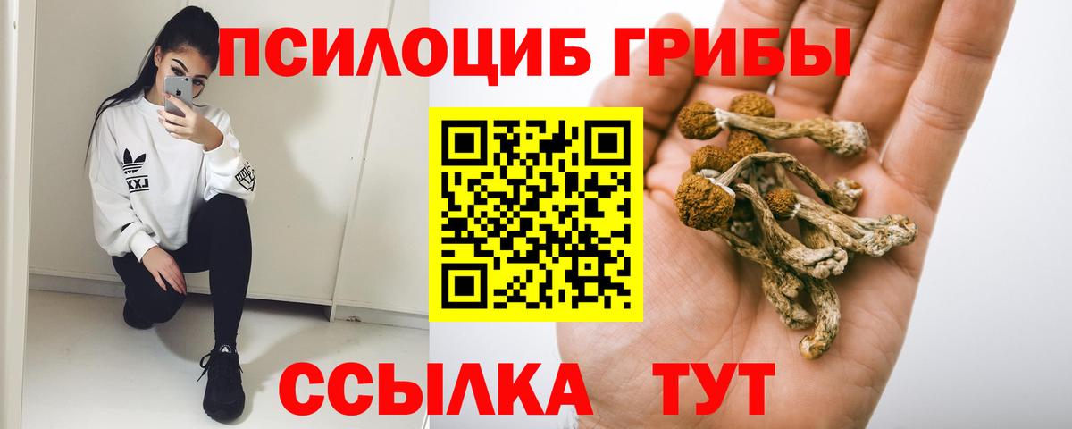 Галлюциногенные грибы мухоморы Сосновый Бор